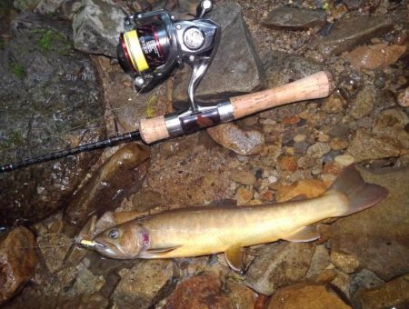 渓流ミノーイング ～長良川水系～